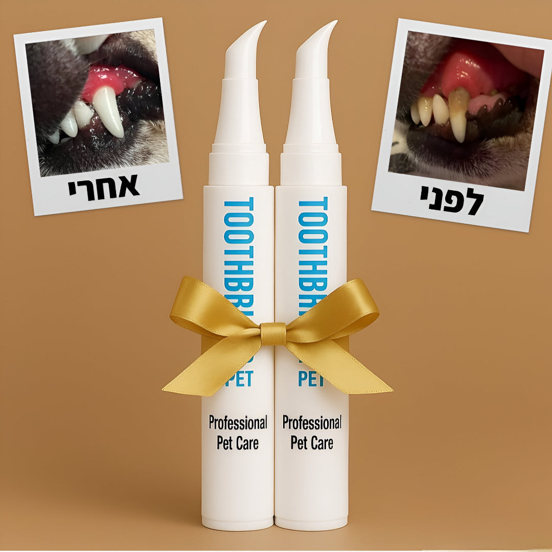 קלין-בראש