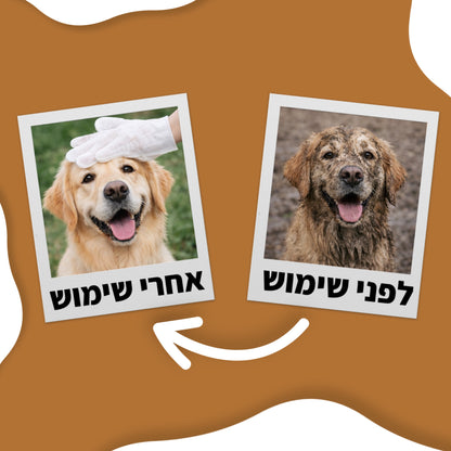 כפפות הדוג-קלין