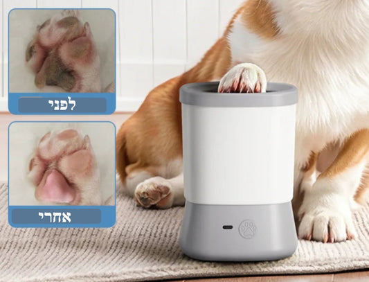 פאו-קלין
