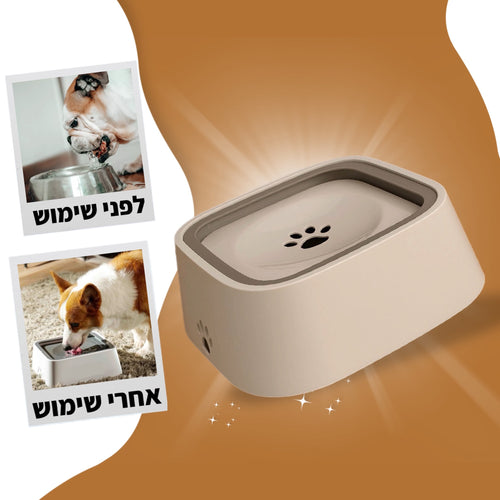 דוג-סטרים