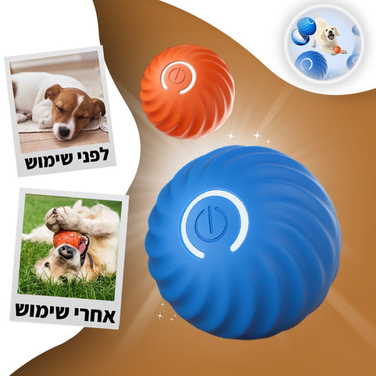 הפאן-בול
