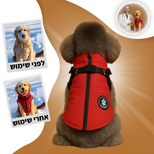 מעיל הדוג-פריז