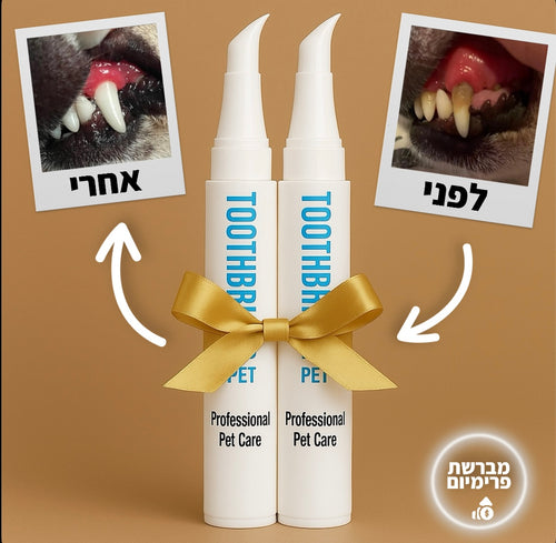 קלין-בראש