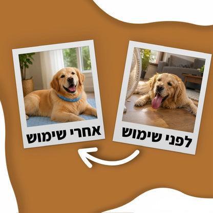 מארז הקולד-פט