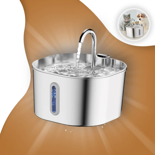 מזרקת מים לחתול