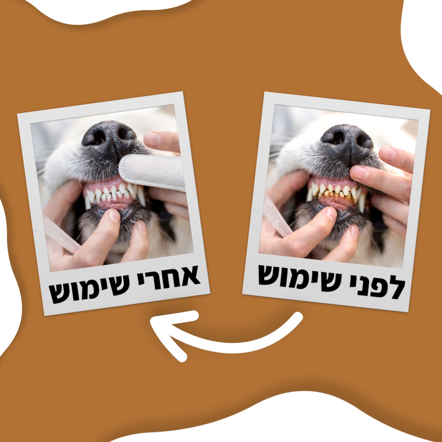 מארז הדוג-סמייל