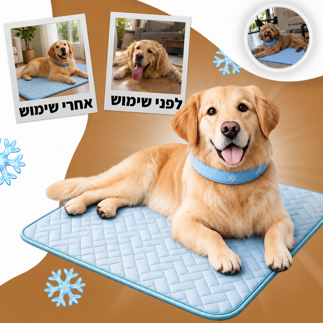 מארז הקולד-פט