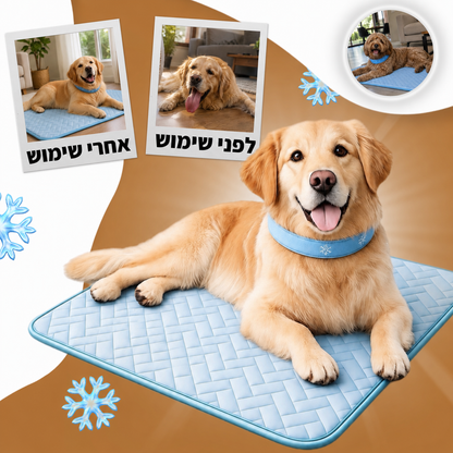 מארז הקולד-פט