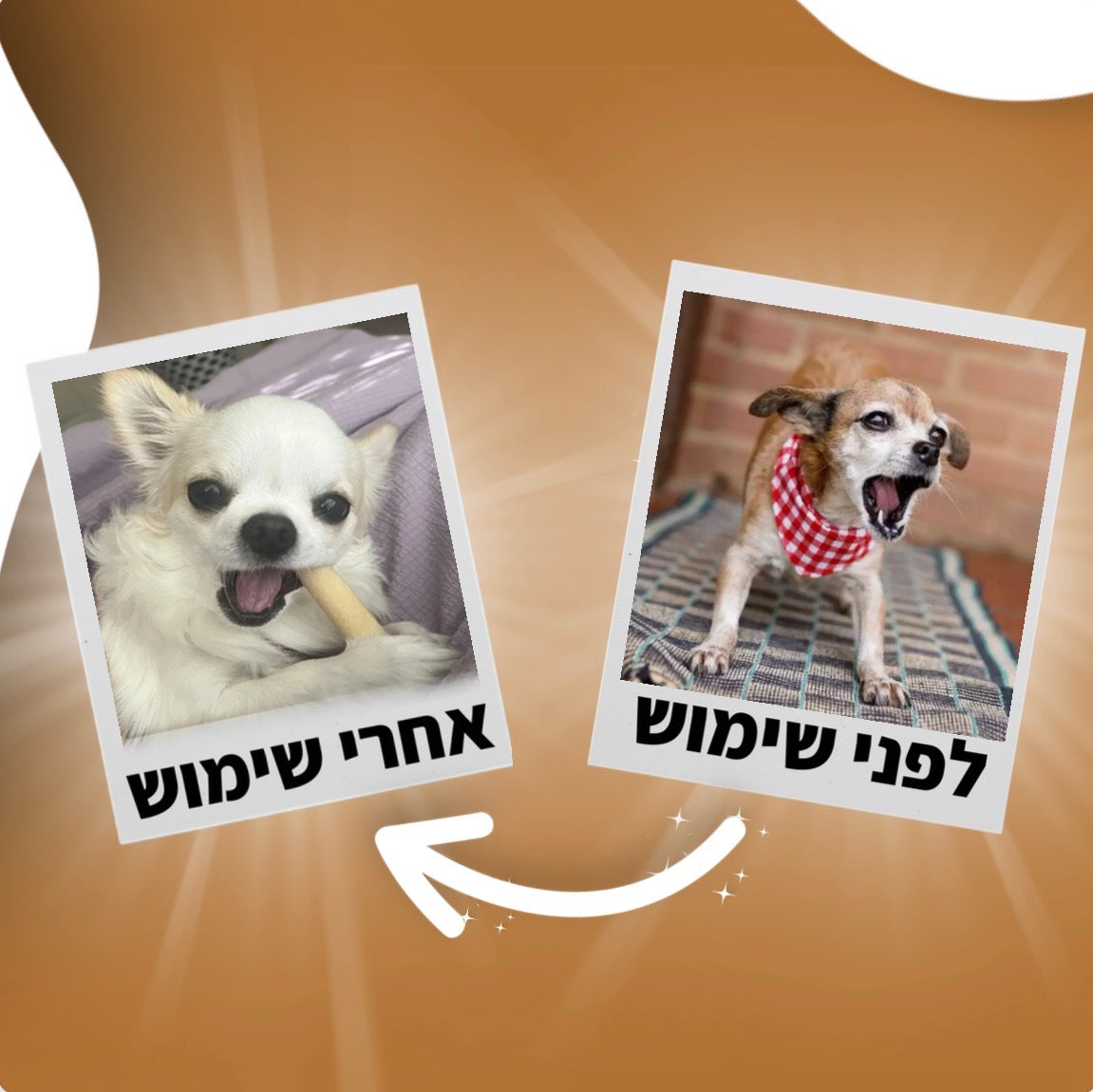 אנטי-בארק