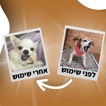 אנטי-בארק