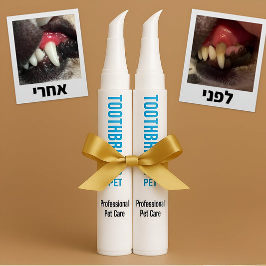 קלין-בראש